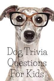 According to different studies, dogs can help their owners need fewer physician visits and boost life expectancies. Dog Trivia Quiz For Children Answers Included Waggy Tales