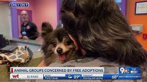 Guardian angel dog rescue is an all breed rescue. El Paso Animal Shelters Face Overcrowding Some Blame Free Adoptions