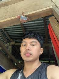 Betta fish varieties for sale