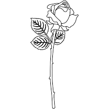 Download Rose Flower Silhouette Free Svg