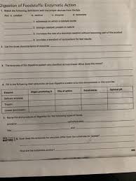 solved digestion of foodstuffs enzymatic action 1 match