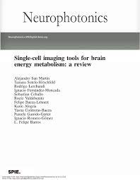 PDF) Single-cell imaging tools for brain energy metabolism: A review