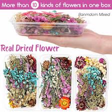 Dried flowers for various compositions. 1 Box Real Dried Flower Dry Plants For Aromatherapy Candle Epoxy Resin Pendant Necklace Jewelry Making Craft Diy Accessories Artificial Dried Flowers Aliexpress