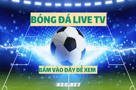 Tất cả các links trực tiếp được tải lên bởi người hâm mộ bóng đá của các trang youtube, talktv, dailymotion, twitch, cube, ustream.tructiep789.com chỉ sắp xếp lại chúng theo đúng trình. Ä'ang Live Bongdalive Tv Kenh Xem Trá»±c Tiáº¿p Bong Ä'a Hot Nháº¥t 2021