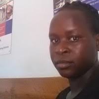 100+ "Ochaya" profiles