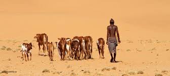 Namibia is a country situated in the southern africa. Namibia
