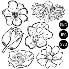 Black And White Daisy Flower Clipart Pin On Cliparts Line Arts Illustrations