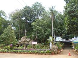 Visit the garden virtually enjoy the beauty of the garden from your home with virtual tours, images of. Malacca Botanical Garden Wikipedia