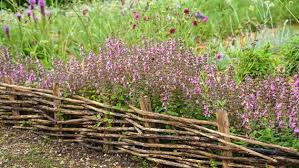 Weitere ideen zu beeteinfassung, rasenkanten, garten. Beeteinfassung Welche Moglichkeiten Gibt Es Ndr De Ratgeber Garten