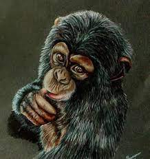 Baby Chimp By Stalksthedawn On Deviantart Monkey Art Monkey Drawing Animal Paintings