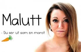 SANNINGEN BAKOM NALLE PUH OCH HANS GÄNG