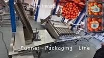 Automatic Punnet Packing Machines for Cherry Tomatoes Grape tomatoes Fruit  Weighing Filling Line