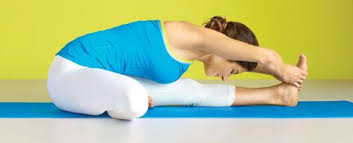 Head Of The Knee Pose Ch Basic Yoga Poses Basic Yoga Seated Yoga Poses