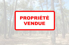 Prix d un hectare de bois. Foret A Vendre Foret A Acheter