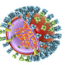 Influenza Aviar Un Enemigo Permanente Para La Avicultura Comercial