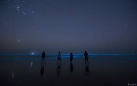 This surprising effect is due to bioluminescent plankton, often seen in warm coastal waters. Top 3 Things To Know About The Bioluminescent Glowing Beach In The Maldives Skyland Tourism