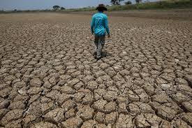 However, freshwater—the stuff we drink, bathe in, irrigate our farm fields with—is incredibly rare. Thailand S Water Shortage And Inequality Crisis East Asia Forum