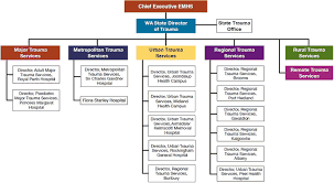 Rural Hospital Organizational Chart Related Keywords