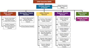 rural hospital organizational chart related keywords