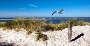 Dune Am Strandweg Mit Der Sandbank Im Hintergrund Langeoog Impression Nordsee Insel Nordseeinsel Strand Nordseestran Langeoog Bilder Nordsee Bilder