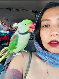 Lost parakeet found in Rancho Cucamonga