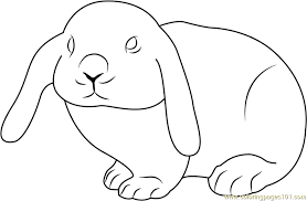 Lion color by number picture. Cute Rabbit Coloring Page For Kids Free Rabbit Printable Coloring Pages Online For Kids Coloringpages101 Com Coloring Pages For Kids