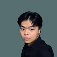 20+ "Phi Diep" profiles