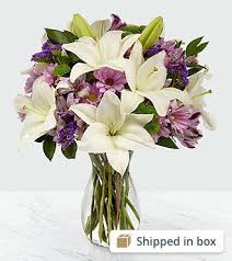 Terry Sharpe Obituary (2020)