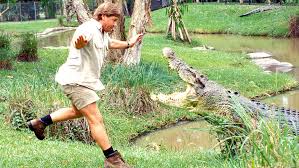 Steve irwin was born in 1962 to parents lyn and bob irwin, who were animal naturalists. Steve Irwin Biography Wildlife Conservationist Biographies By Biographics