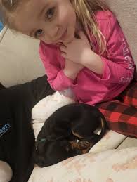 Over the Moon in love with our new baby girl. She may be small but she is  mighty! At 2.7lbs at 9weeks she is healthy, strong, full of Southern Sass  and SMART!!