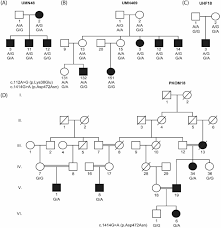 Posted by vitralogy on may 6, 2020 | featured. Multi Omic Studies On Missense Plg Variants In Families With Otitis Media Scientific Reports