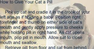 Allow cat to close mouth and swallow. Hilarious Man Posts Online What Happens When You Try To Give A Pill To A Cat Inner Strength Zone