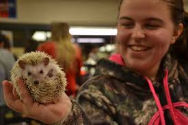 Hub editor picks his favorite photos from 2018