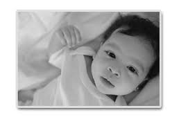 JCC Annual Meeting to be held