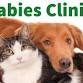 Free Rabies Clinic