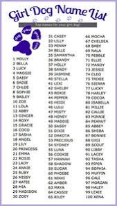Give your new family member a name that truly suits her with one of these cute i admit that my love of the show stranger things, would make me consider seven as a name for a other popular female dog names inspired by pop culture characters include bella (twilight) and luna. 10 Dog Names Ideas Dog Names Names Dogs