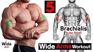 Alpha lion supplements & apparel (use code troy20 for 20% off. Best 5 To Get Wider Biceps Youtube