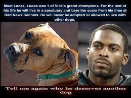 Lucas, was a Grand Champion of dog fighter, Michael Vick. I sponsored  Lucas, sending him blankets, bones...etc. In return, those small gestures  made me feel like I was making a difference in