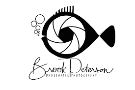 Black Logo And Name Waterdog Photography Black Logo Instagram Followers Water Photography
