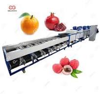 Automatic Citrus Fruit Sorting Machine Industrial Fruit Sorting Machine lemon grading machine