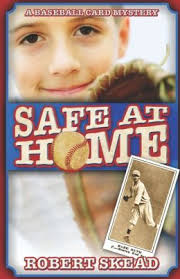 The Why Not 100: 99 HARD-HITTING BASEBALL MYSTERIES