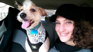 Why not let them have a little fun too? Happy Tails Dog Wash And Grooming 32 Photos 51 Reviews Pet Groomers 565 College Dr Henderson Nv Phone Number Yelp