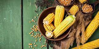 Artikel ini akan membincangkan khasiat jagung jagung enak disaji dalam aneka hidangan seperti, jagung rebus, jagung panggang, bubur jagung. 10 Manfaat Jagung Rebus Untuk Kesehatan Salah Satunya Atasi Gangguan Pencernaan Merdeka Com