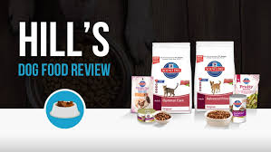 Learn why the right food is so important for your cat's health, and why the many varieties of hill's cat food make for excellent nutritional choices. Hill S Dog Food Review Woof Whiskers
