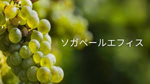 ソガ ペール エ フィス 特約 店