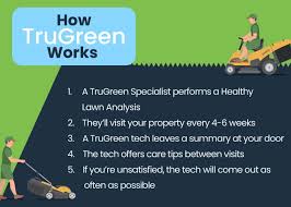 Scott's lawn care products, available at all major home improvement stores, have a wide range of products with varying costs. Trugreen Cost Honest Review Plans Pricing Rethority