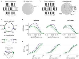 Plasma cutting can be used on thicknesses upto about 150 mm but the process is very slow. Gaze Stabilisation Behaviour Is Anisotropic Across Visual Field Locations In Zebrafish Biorxiv