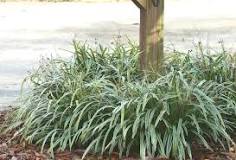 Image result