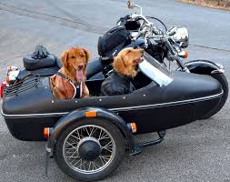 Are Motorcycle Sidecars Making A Comeback In 2020 Scenicapp