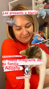 Sandra Crothers (@sandra.tarot_) • Instagram photos and videos